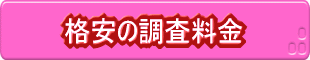 格安の調査料金