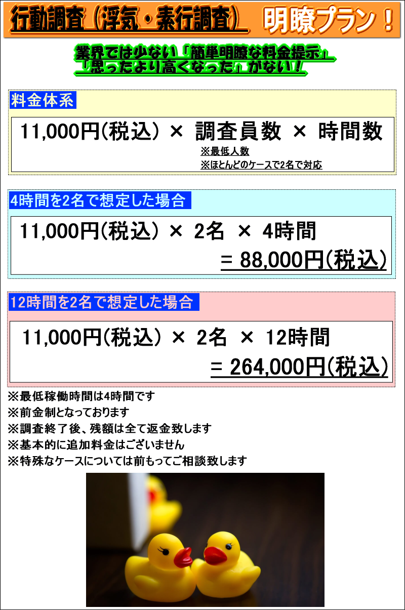 浮気調査・素行調査の料金/費用体系